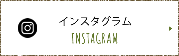 インスタグラム